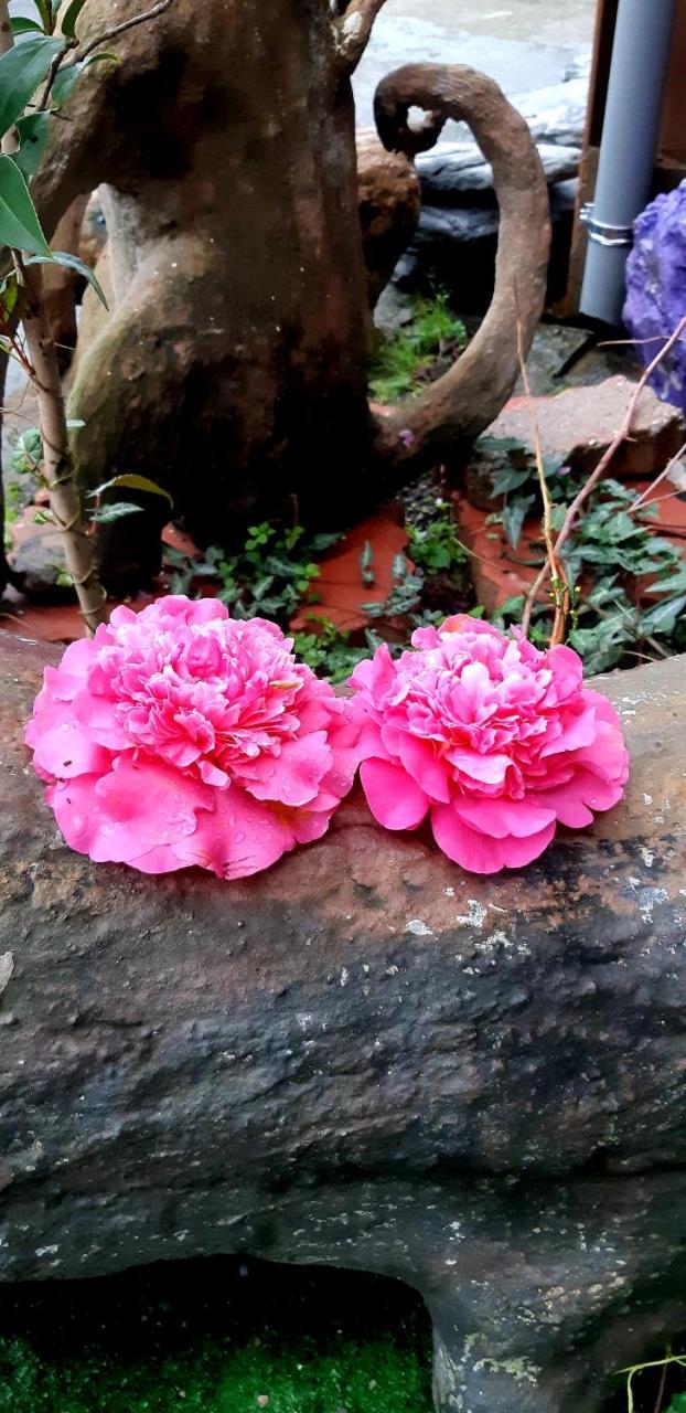 Lushan Xiangting Tea Homestay Ren'ai Esterno foto